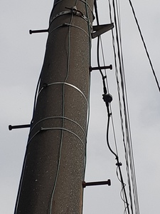 20200920_143748_002.jpg