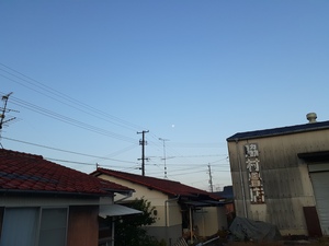 20201103_070555_001.jpg