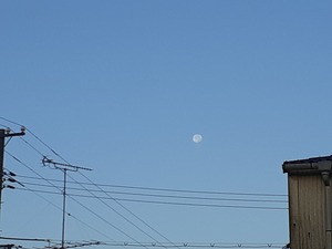 20201103_070735.jpg