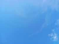 20240831_115643_200.jpg