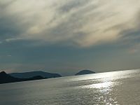 20241030_155328_200.jpg