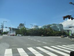 IMG_1372_256.jpg