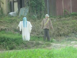 IMG_1384_256.jpg