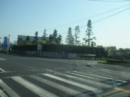 IMG_1393_256.jpg