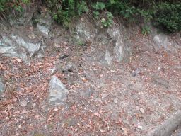 IMG_1510_256.jpg