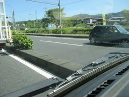 IMG_1523_256.jpg