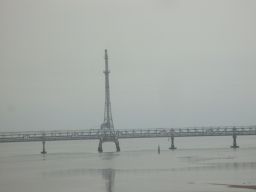 IMG_2062_256.jpg