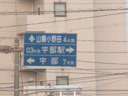 IMG_2111_256.jpg