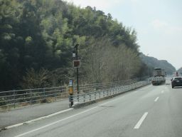 IMG_2132_256.jpg