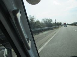 IMG_2134_256.jpg