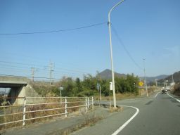 IMG_2138_256.jpg