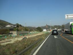 IMG_2139_256.jpg