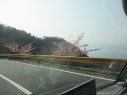 IMG_2144_256.jpg