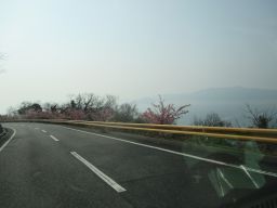 IMG_2149_256.jpg