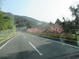 IMG_2152_256.jpg