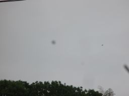 IMG_2403_256.jpg