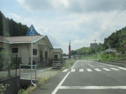 IMG_2643_256.jpg