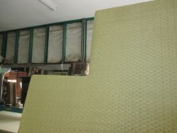 IMG_2671_256.jpg