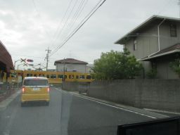 IMG_2685_256.jpg