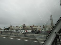 IMG_2702_256.jpg