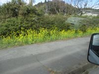 IMG_2997_200.jpg