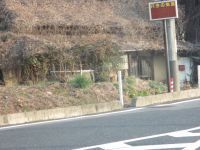 IMG_3014_200.jpg