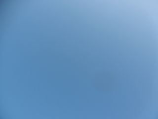 P1000942_320.jpg
