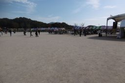 P1010907_256.jpg