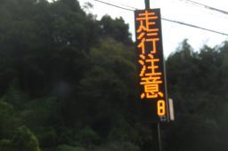 P1010919_256.jpg