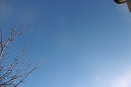 P1010944_256.jpg