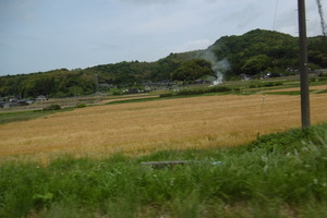 P1020142.JPG